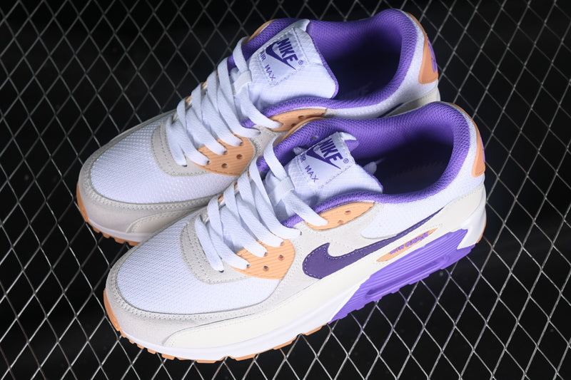 Nike Air Max 90 “Action Grape Citron”