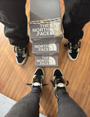 Dunk Low Collab The North Face